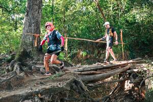 BIB: 
                            <button type="button" onclick="openModal(27551744)" class="btn btn-primary btn-sm float-right btn-popup" data-toggle="modal" data-target=".modal-high-quality">
                        <i class="fas fa-shopping-cart"></i> Add to Cart
                    </button>
                                            <button type="button" onclick="isThisMe(27551744, true)" class="btn btn-success btn-sm float-right btn-popup btn-isme hidden" data-toggle="tooltip" data-placement="bottom" title="นี่คือรูปของคุณใช่ไหม คลิกที่นี่เพื่อเอาเข้าอัลบั้ม">
                        <i class="fas fa-plus"></i> Add to album
                    </button>
                    <button type="button" onclick="isThisMe(27551744, false)" class="btn btn-warning btn-sm float-right btn-popup btn-isnotme hidden">
                        <i class="fas fa-ban"></i> Remove from album
                    </button>